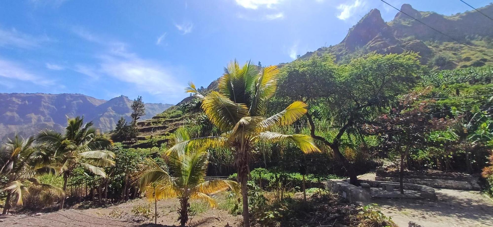 Casa Au Bonheur Des Randonneurs Leilighet Ponta Do Sol Eksteriør bilde